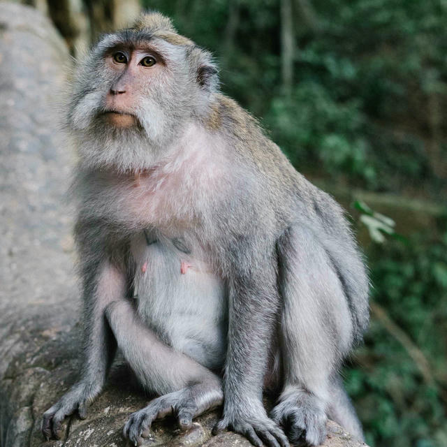 2019/09 Bali photo 5