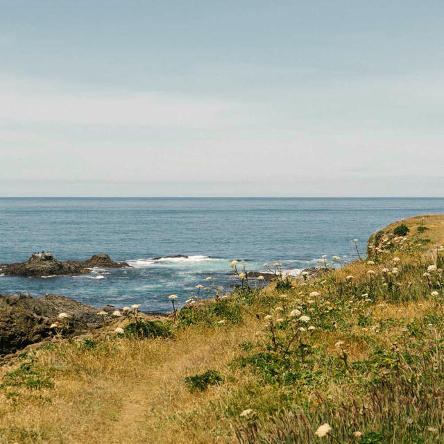 2021/11 Mendocino photo 5